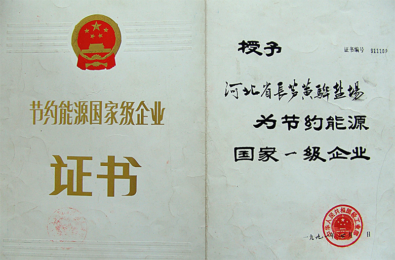 節(jié)約能源國家一級企業(yè)
