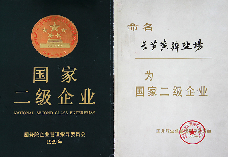 國家二級企業(yè)