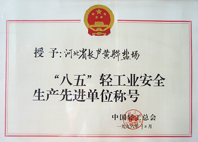 八五輕工業(yè)安全生產(chǎn)先進(jìn)單位